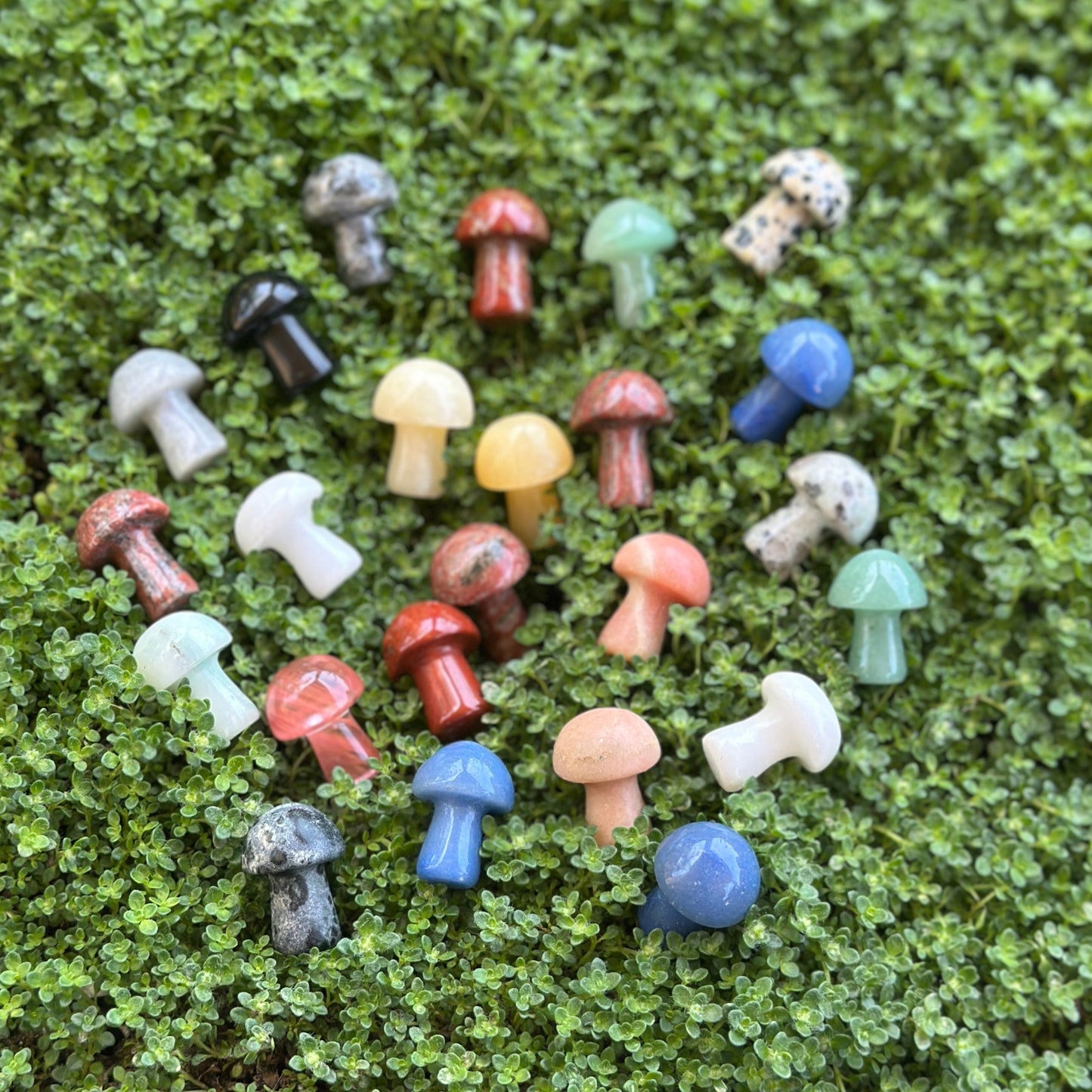 Mushrooms