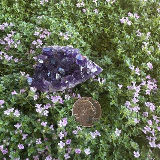 Amethyst Raw Crystal Cluster