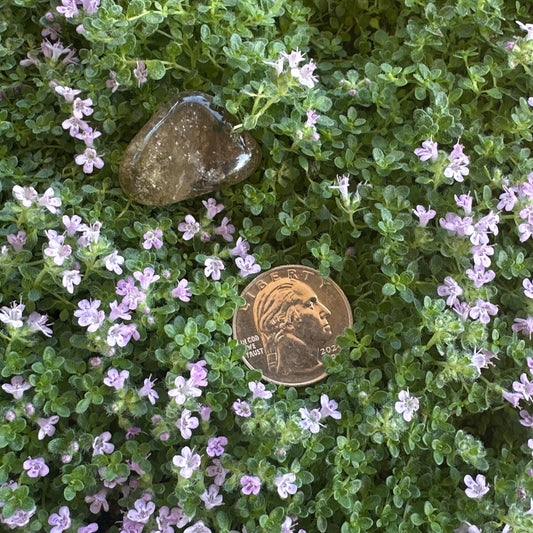 SM Natural Citrine Tumbled Stone