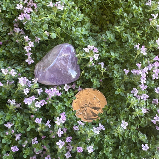 Amethyst Tumbled Stone