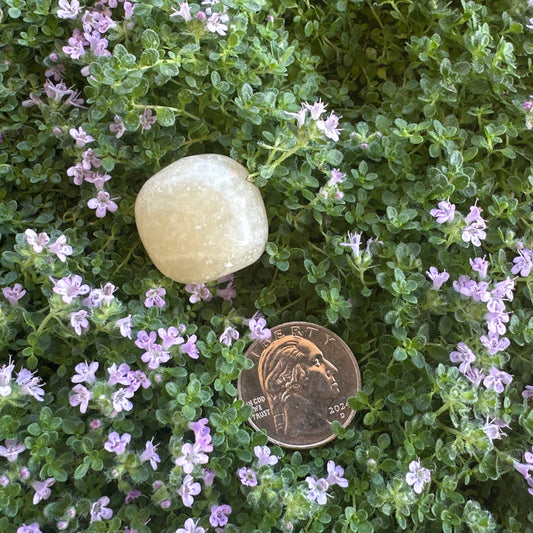 Honey Calcite Hand Polished Stone