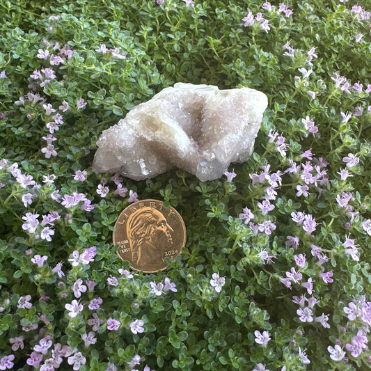 Cactus Spirit Quartz Raw Crystal
