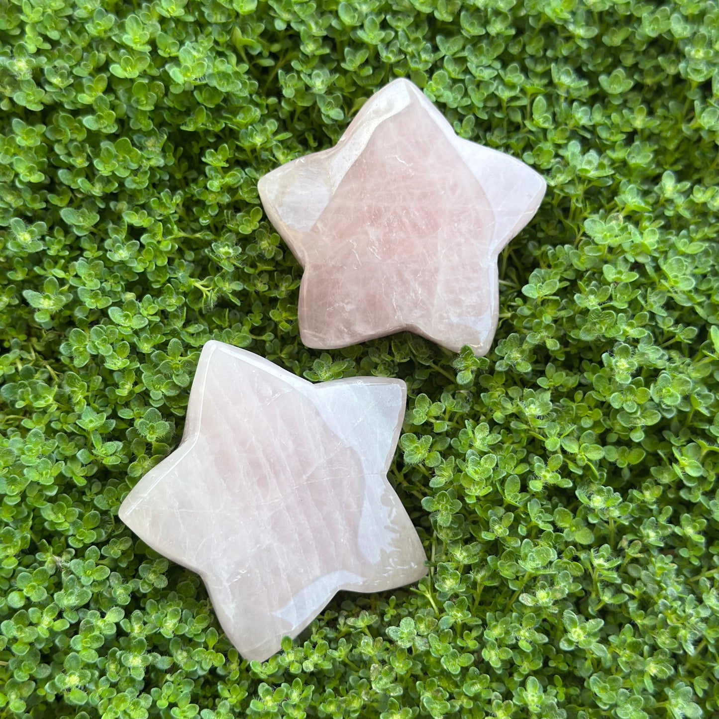 Stars - Rose Quartz