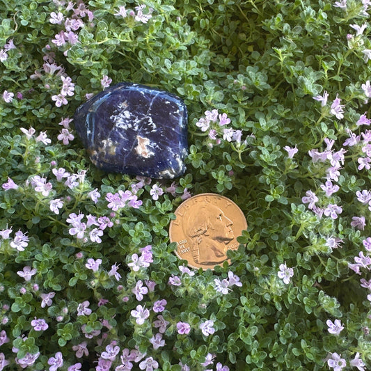 Sodalite Tumbled Stone