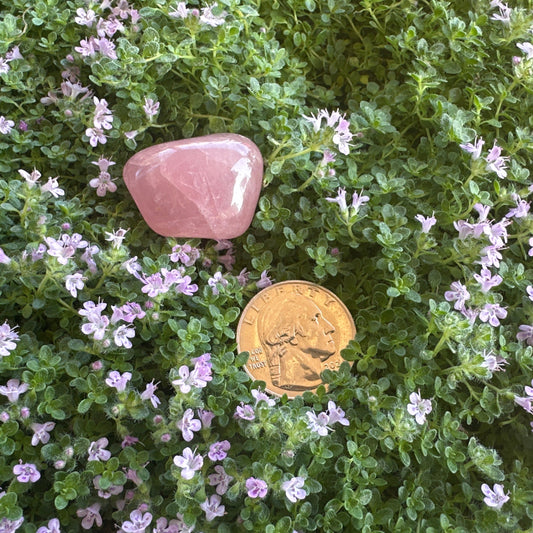 Rose Quartz Tumbled Stone