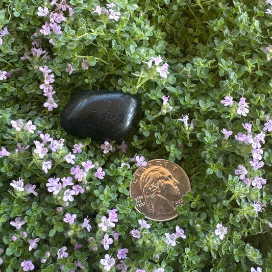 Black Tourmaline Tumbled Stone