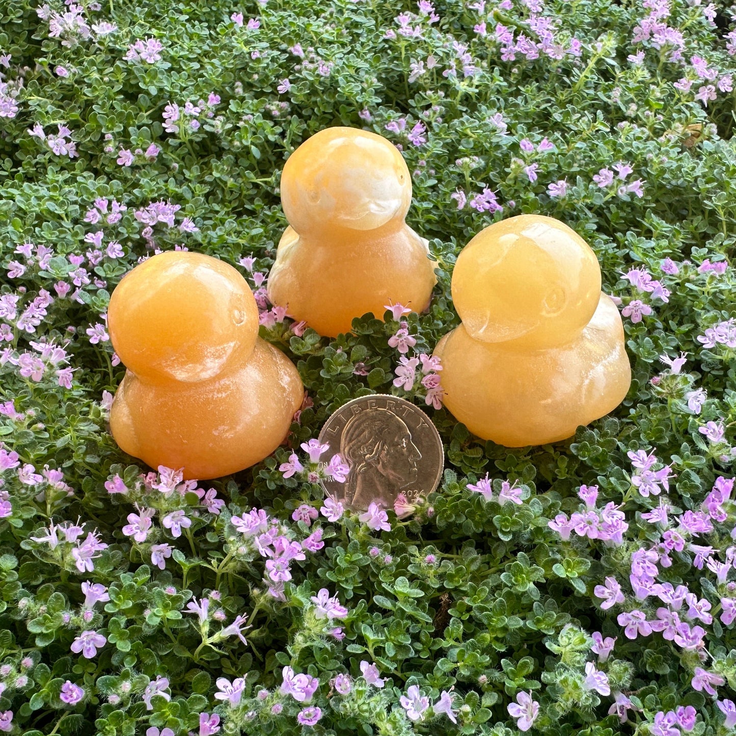 Rubber Ducky