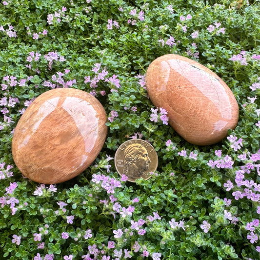 Peach Moonstone Palm Stone