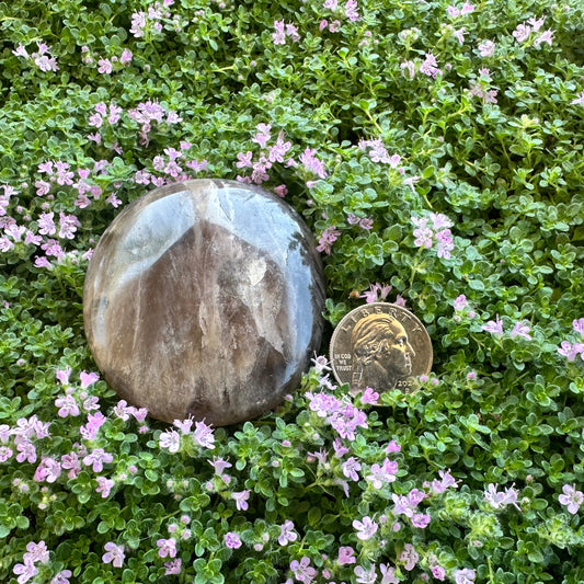 Chevron Amethyst Palm Stone