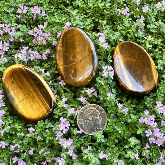 Worry Stone.- Tiger Eye