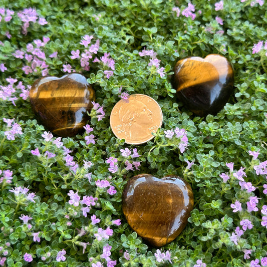 Heart - Tiger Eye