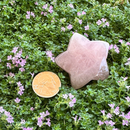 Stars - Rose Quartz