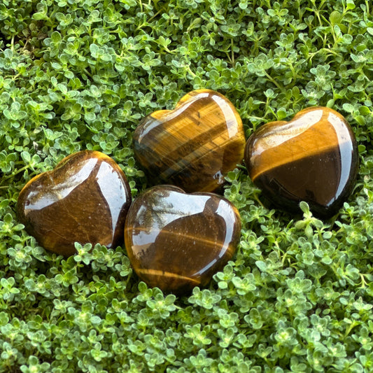Heart - Tiger Eye