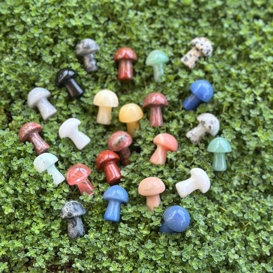 Mushrooms