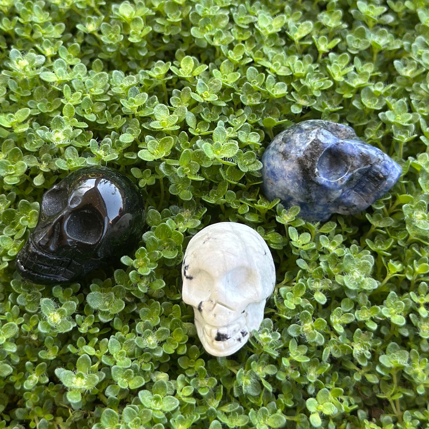Skulls - Misc