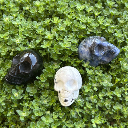 Skulls - Misc