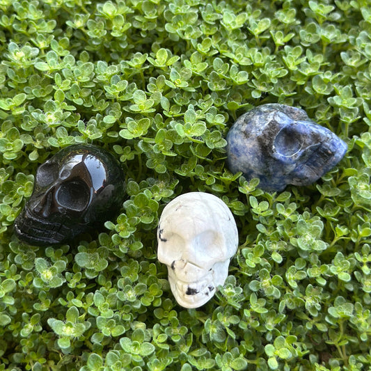 Skulls - Misc