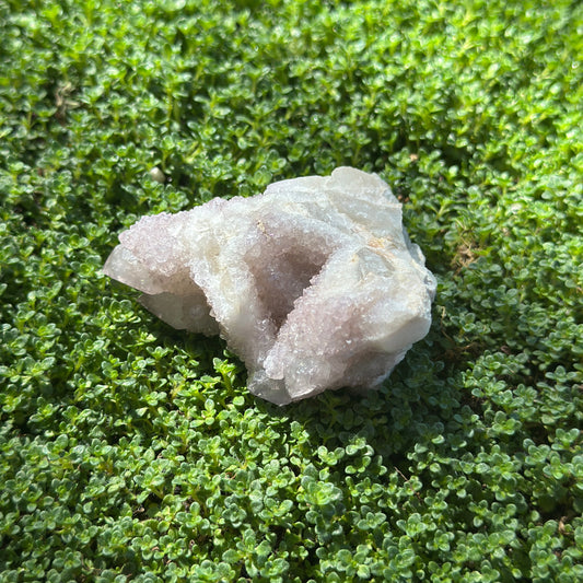 Cactus Spirit Quartz Raw Crystal