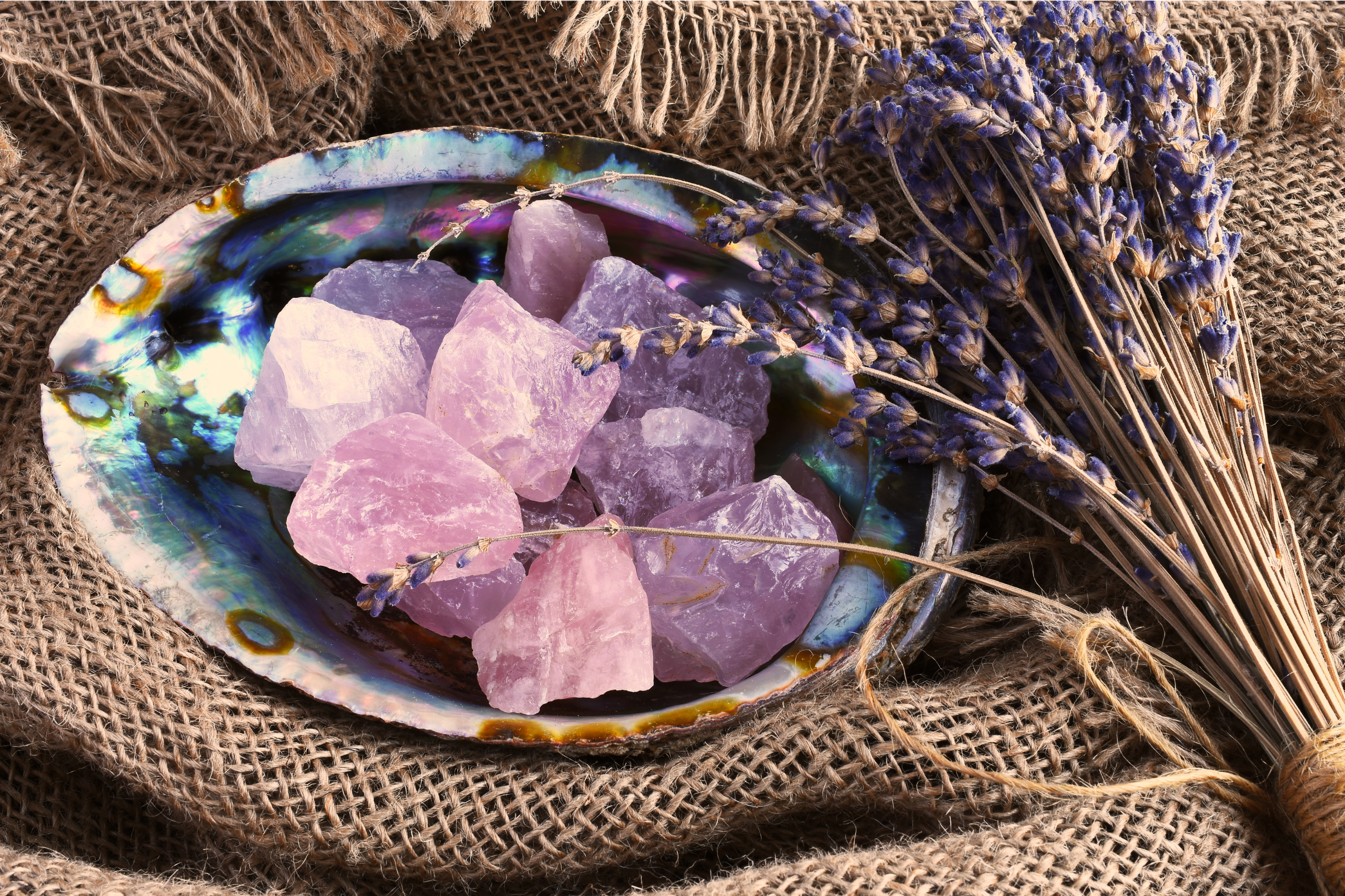Crystal stones in a shell with lavender on a textured fabric background