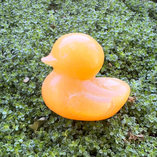 Rubber Ducky