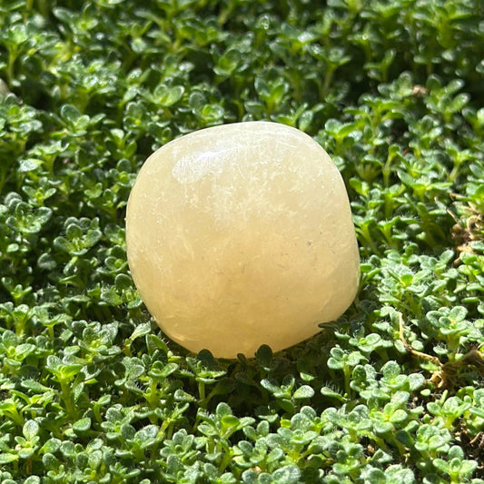 Honey Calcite Hand Polished Stone