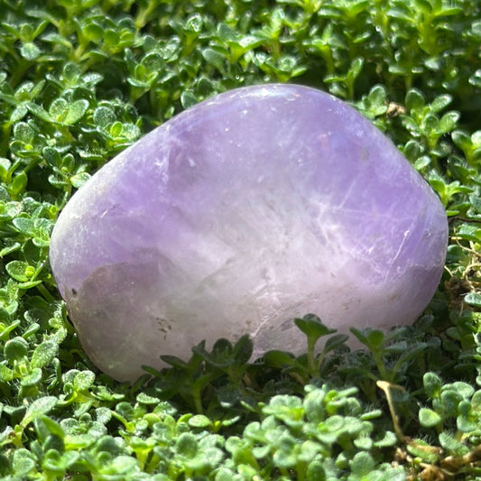 Amethyst Tumbled Stone