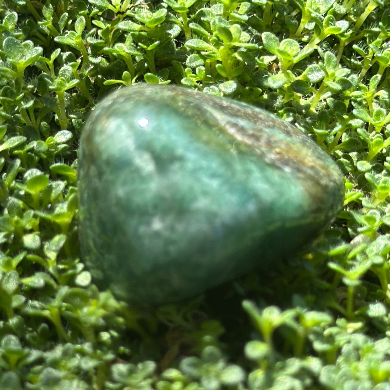 Green aventurine tumbled stone - side view of rounded pocket-sized crystal