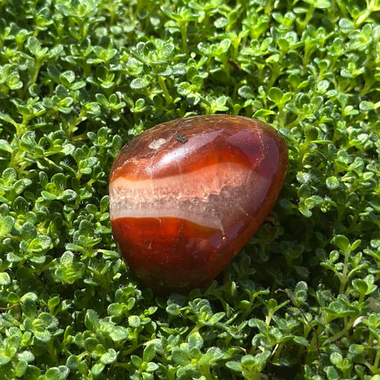 Carnelian Hand Polished Stone