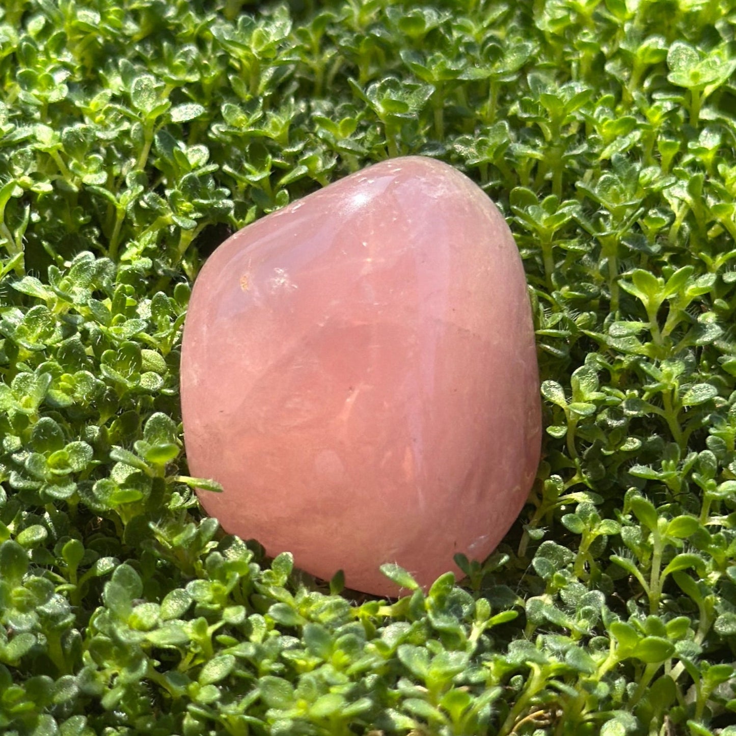 Rose Quartz Tumbled Stone