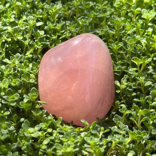 Rose Quartz Tumbled Stone