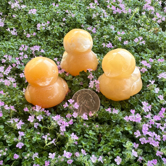 Rubber Ducky