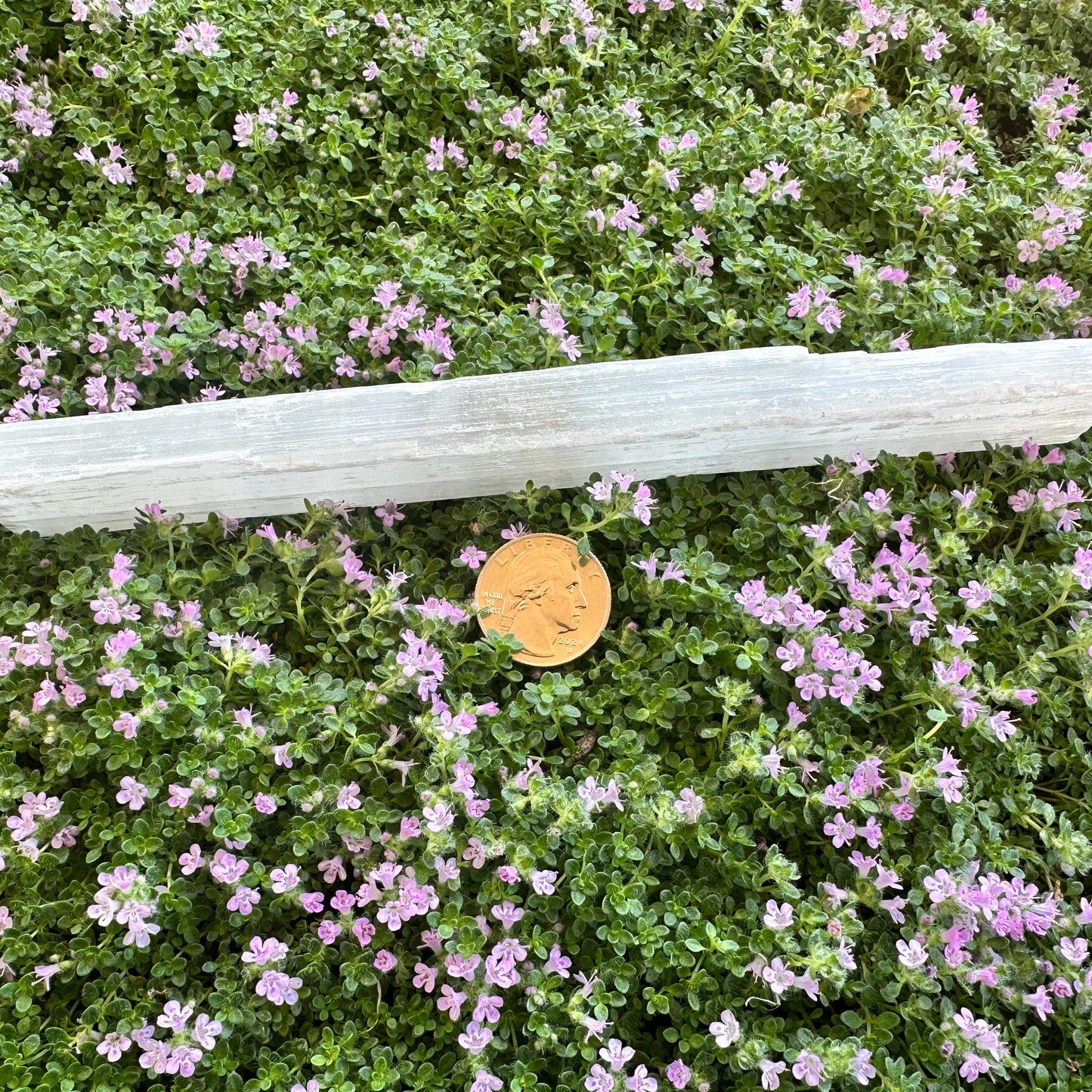 Selenite Wand