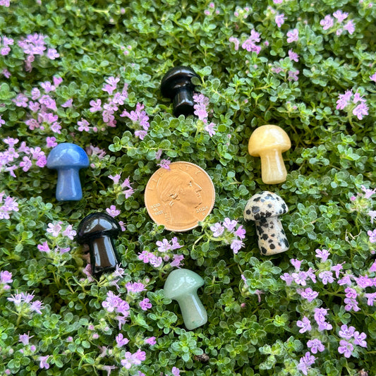 Mushrooms