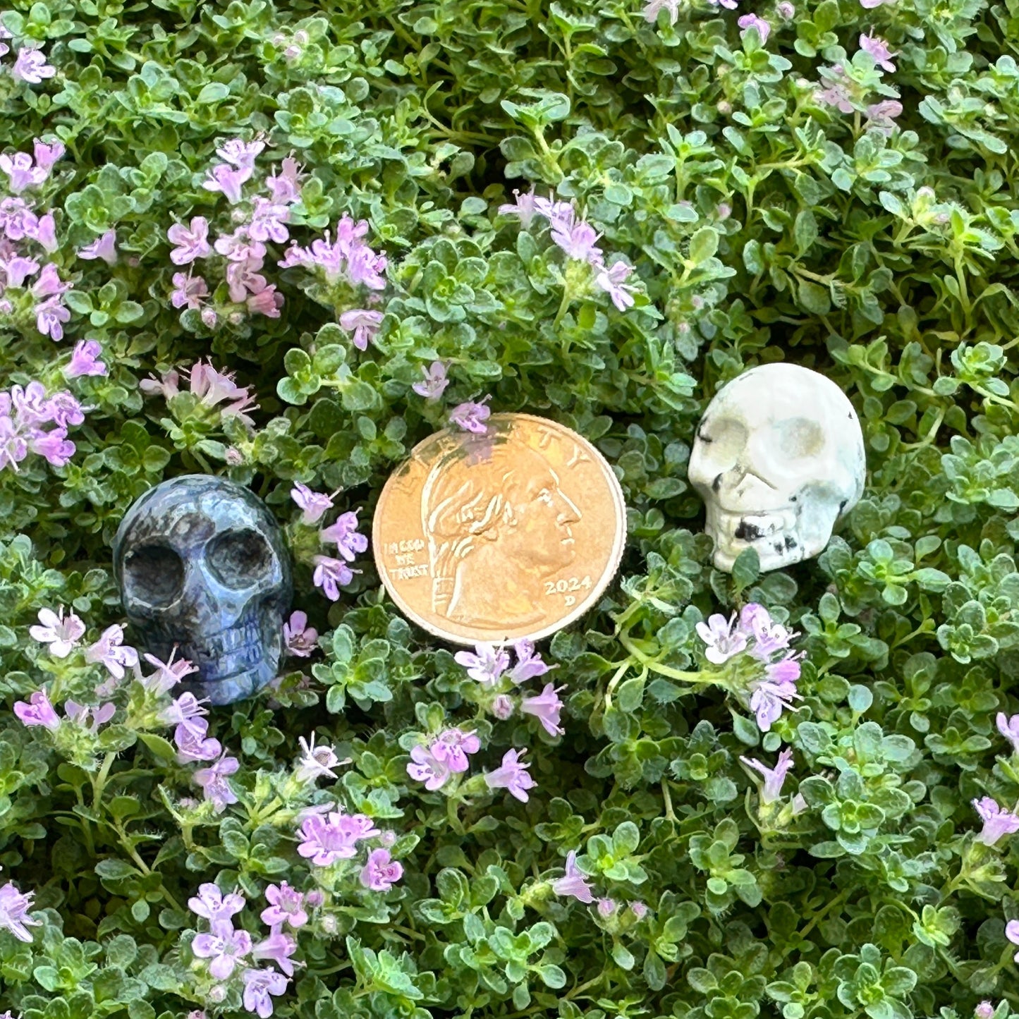 Skulls - Misc