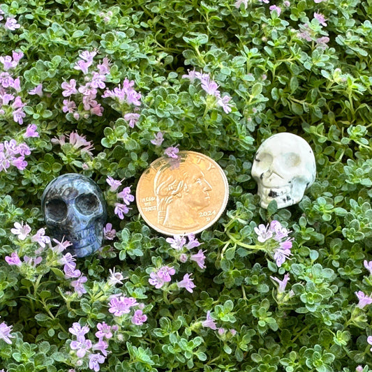 Skulls - Misc