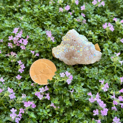 Quartzite Geode