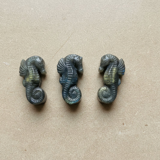 Three labradorite seahorse figurines on a tan background


