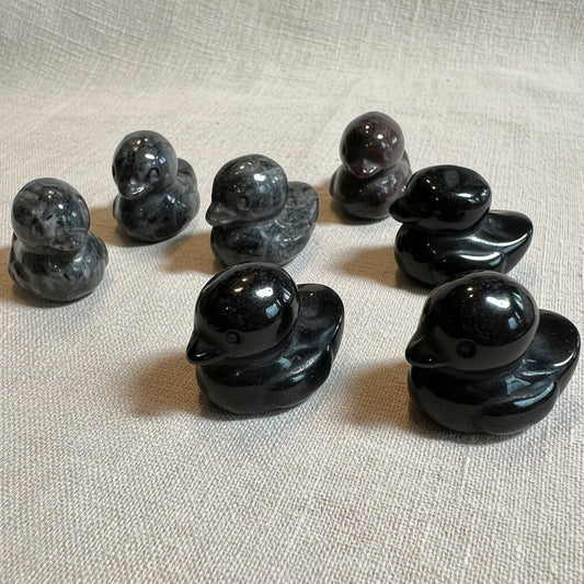 Black marble-like objects on a white surface